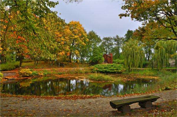 Jesienią w parku puzzle online