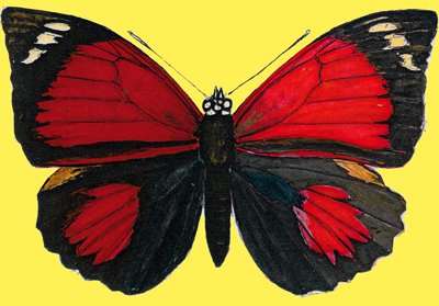 motyl czerwony puzzle online