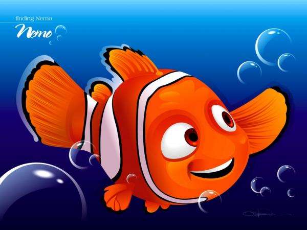 Nemo ryba puzzle online