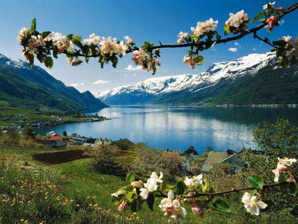 góry, jezioro, kwitnące gałązk puzzle online