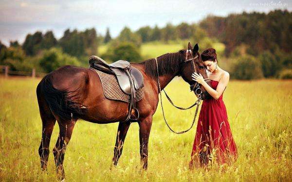 De vrouw en het paard puzzel