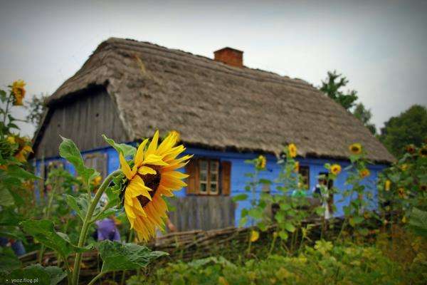 cottage with sunflowers puzzle