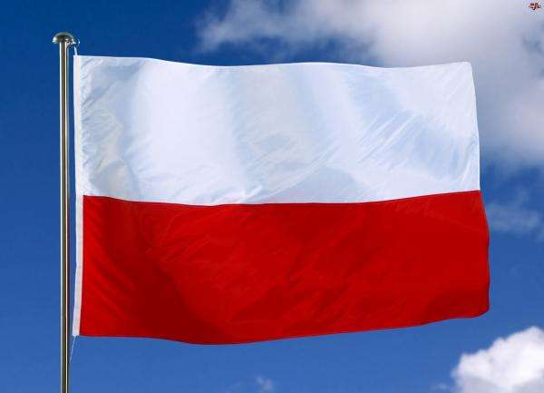 Polska flaga puzzle online