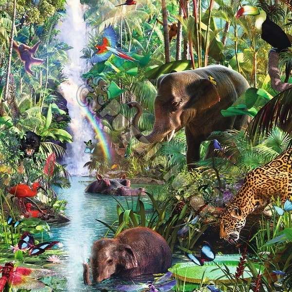 dżungla i jej zwierzęta puzzle online