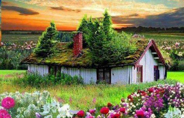 dom,chmury,łąka,rośliny puzzle online