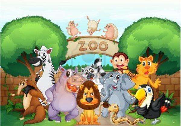 zoo zwierzeta puzzle