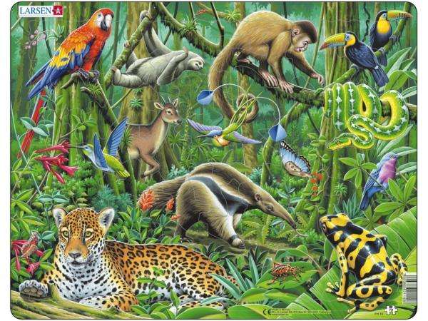 las tropikalny ze zwierzętami puzzle online
