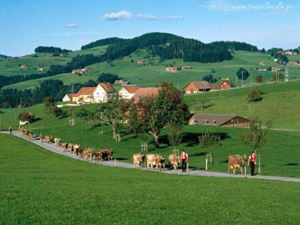 Szwajcarska wioska puzzle online