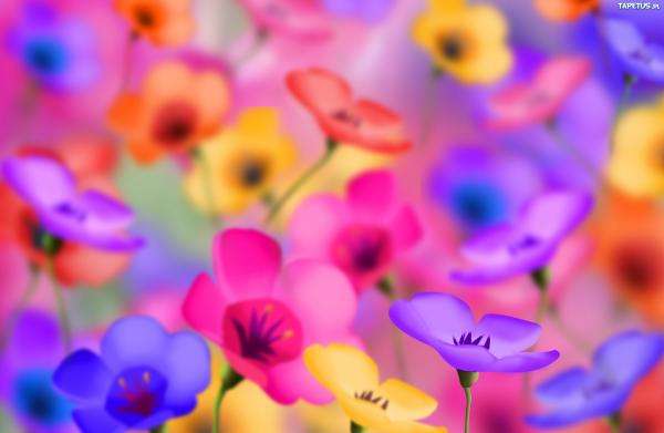 fiori colorati puzzle