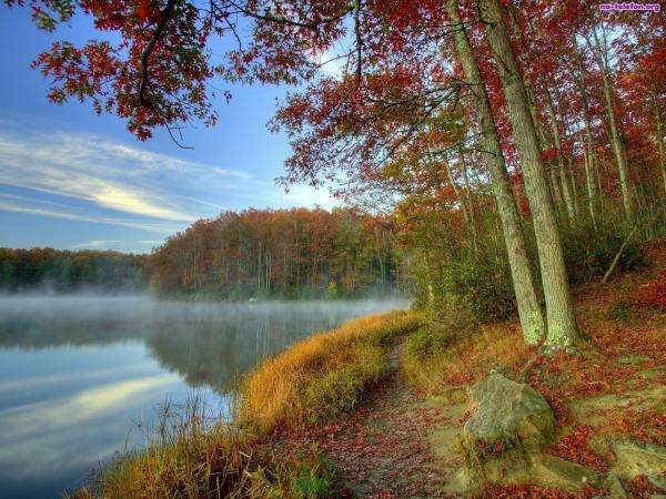 jezioro,las,mgiełka,jesień puzzle online