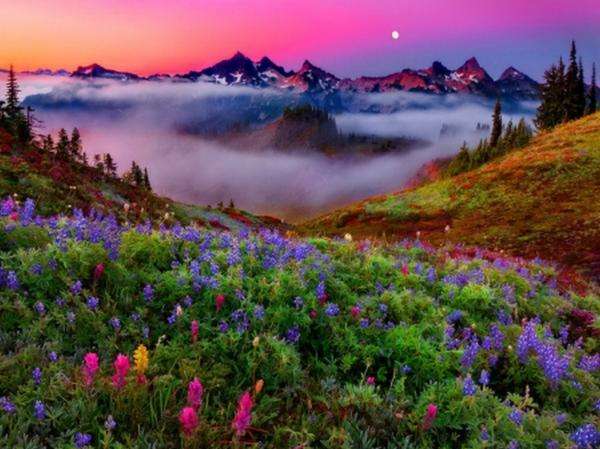 góry we mgle,łąka,kwiaty puzzle online