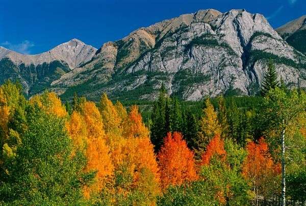 Autumn in the mountains  puzzle online
