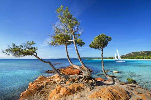 wybrzeże Korsyki,drzewa,niebo puzzle online