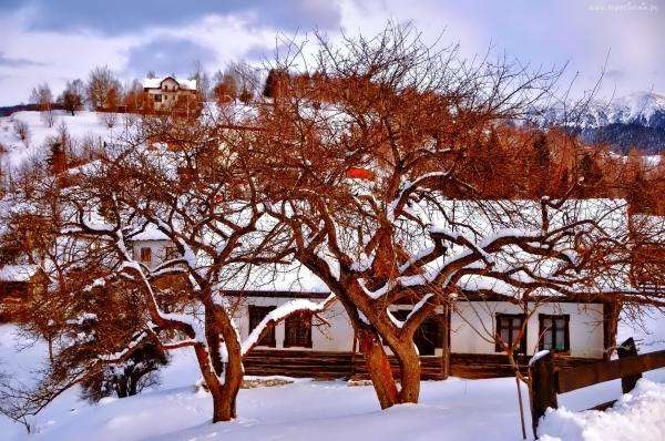 zima,wiejskie domy,drzewa puzzle online