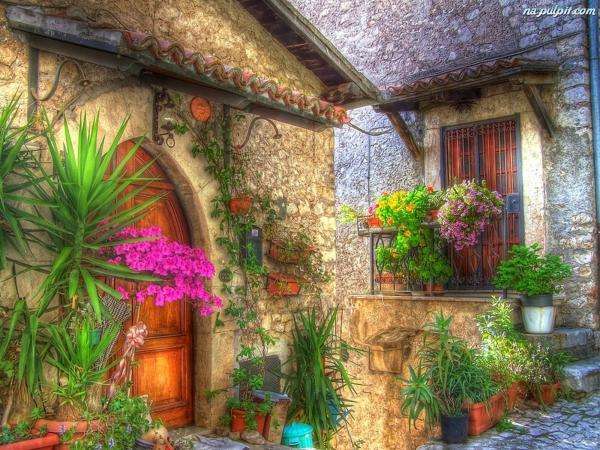 dom,rośliny,pnącza,drzwi puzzle online