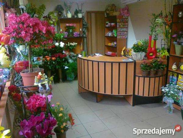 kwiaciarnia,lada,półki,rośliny puzzle online