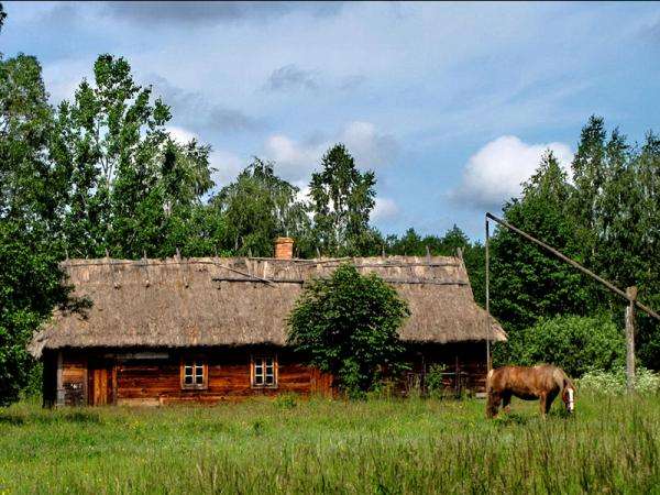 Polskie krajobrazy wiejskie puzzle online