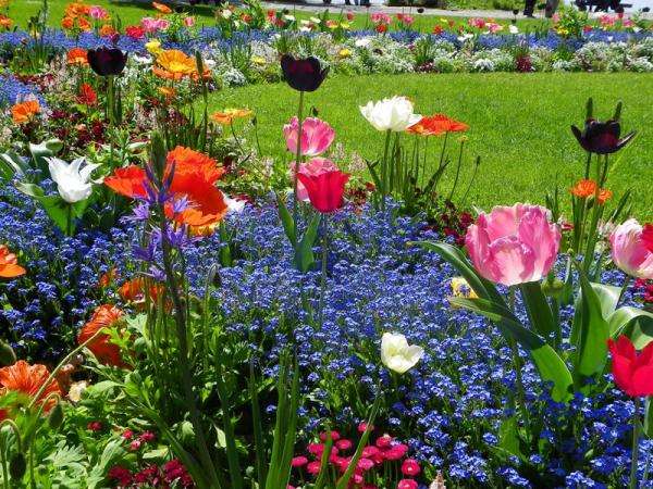 Wielobarwne kwiaty w ogrodzie puzzle online