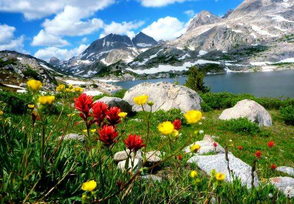 Góry, kwiaty i jezioro puzzle online