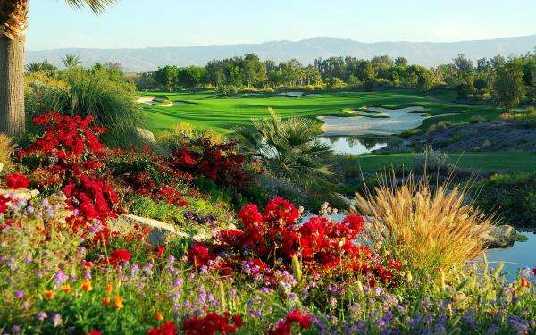 Kwiaty na polu golfowym puzzle online