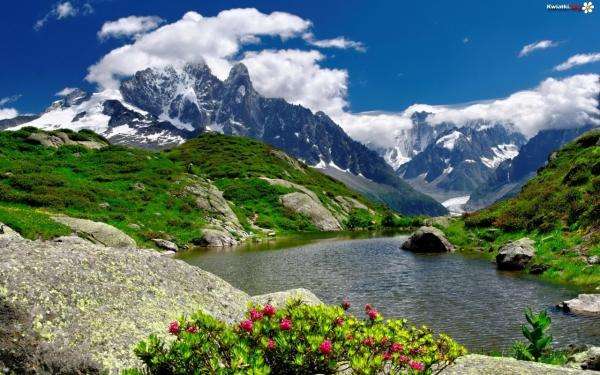 Góry jezioro i kwiaty puzzle online