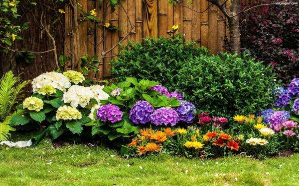 Kolorowy ogród kwiatowy puzzle online