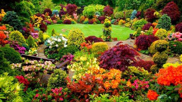 kolorowe kwiaty w ogrodzie puzzle online