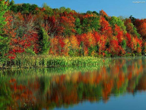 jesienny krajobraz nad wodą puzzle online