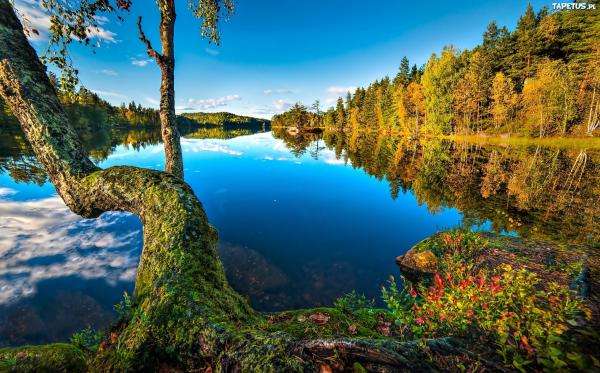 Norwegia - jezioro puzzle online