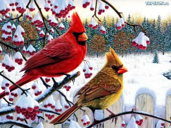 ptaki zimą puzzle online