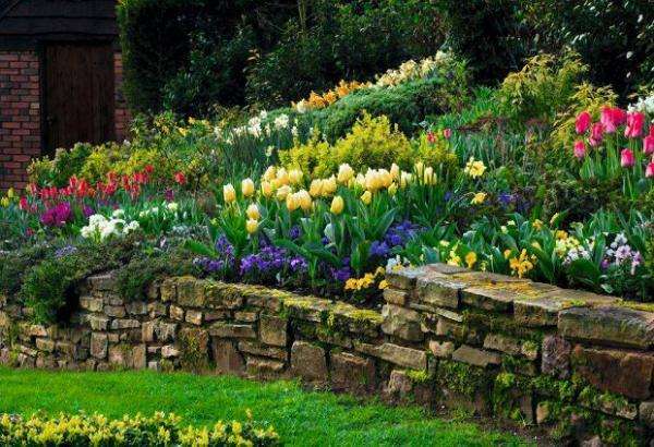 piekne kolorowe tulipany puzzle online