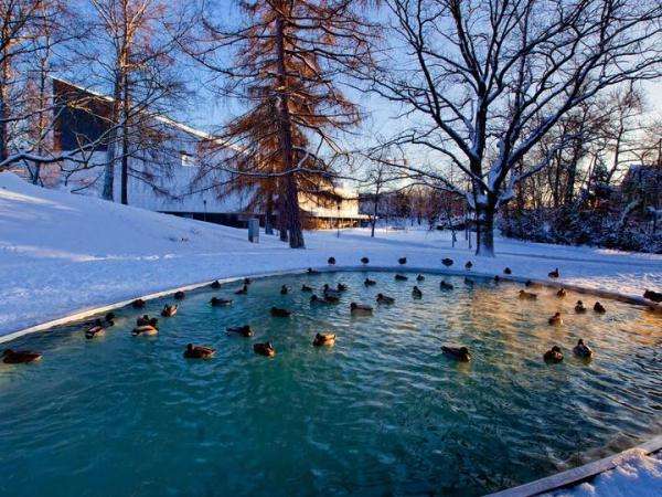 zima na basenie puzzle online