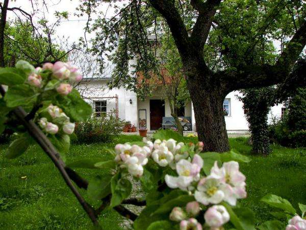 dom w wiśniowym sadzie puzzle online