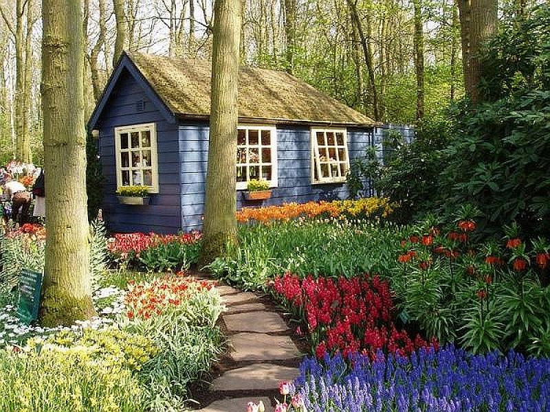 Domek w lesie z ogródkiem puzzle online