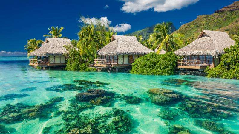 Ocean i Malediwy puzzle online