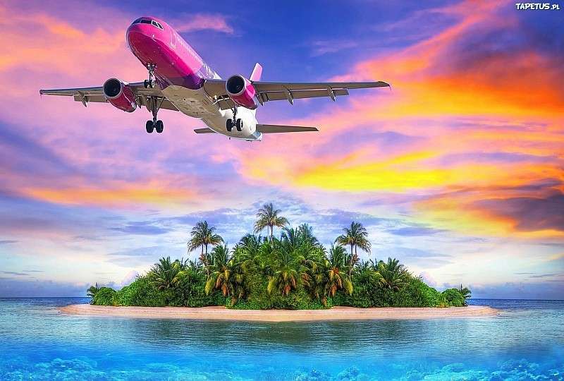 Różowy samolot nad oceanem puzzle