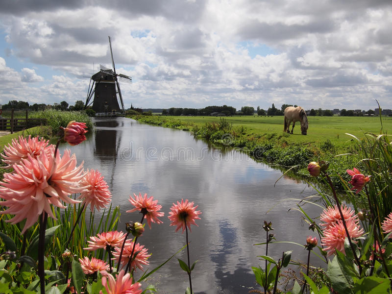Holandia,krajobraz z kwiatami puzzle online