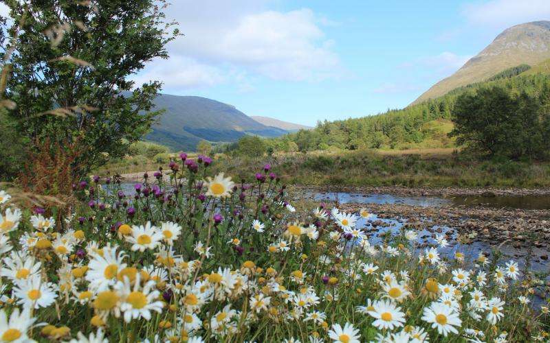 Szkocja , góry , rzeka puzzle online