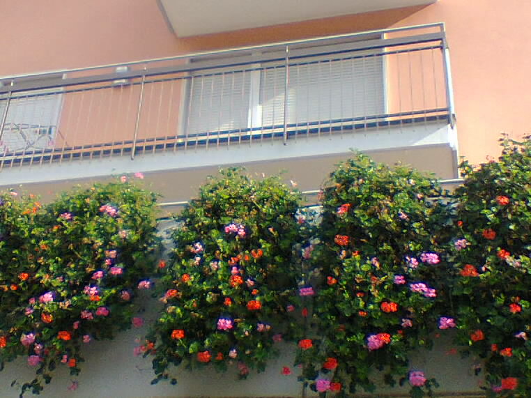 Ślicne kwiaty na balkonie  puzzle online