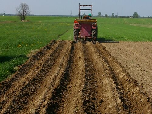 traktor na polu ziemniaczanym puzzle online