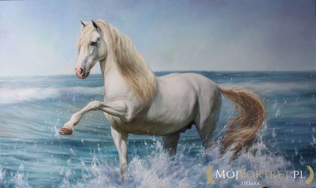 Koń biały i piękny puzzle online