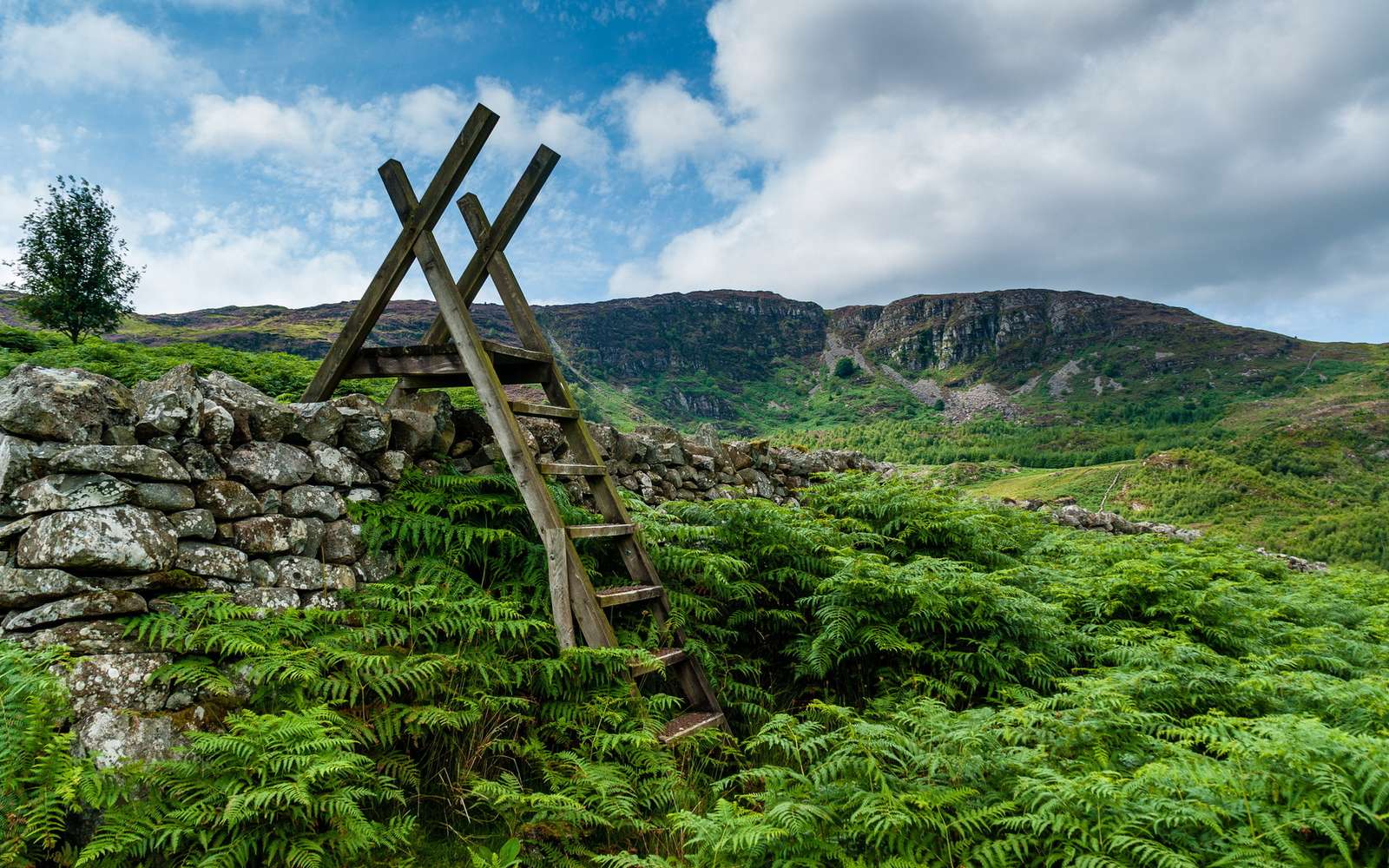 zielona wyspa,irlandzka łąka puzzle online