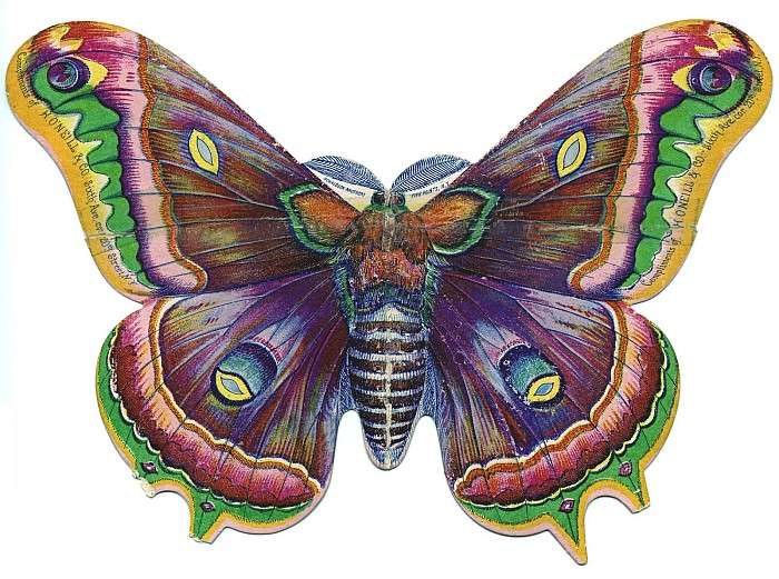 Butterfly moth grafika puzzle online