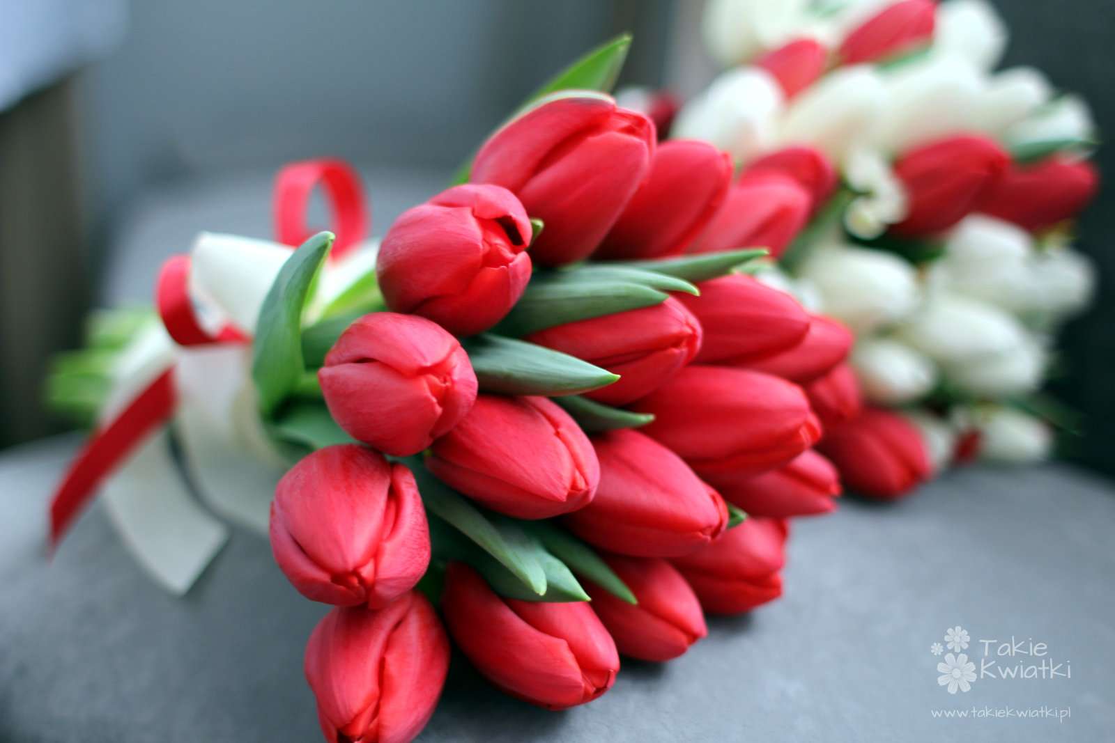 pek tulipanów puzzle online