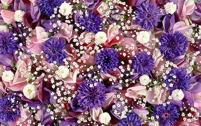 Kolorowe kwiaty fotografia puzzle online