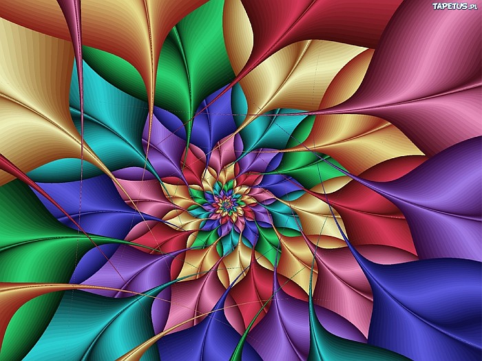 Grafika kolorowy kwiat puzzle online