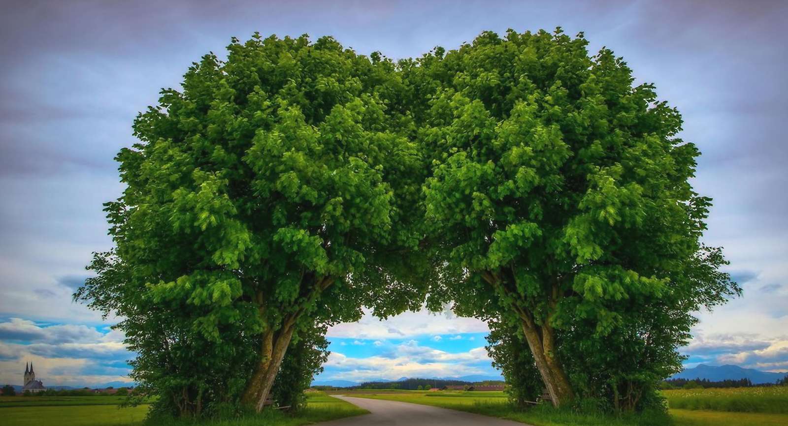 Zielone drzewa puzzle online