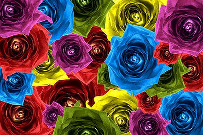 Rózsa összetétele, színes flo kirakós