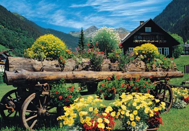 Alpejskie kwiaty puzzle online