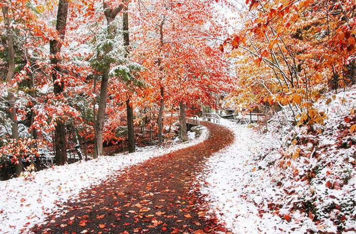 Piękno przyrody zima jesień puzzle online